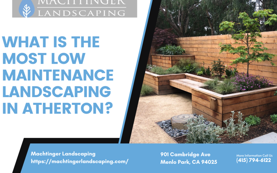 What Is the Most Low Maintenance Landscaping in Atherton?