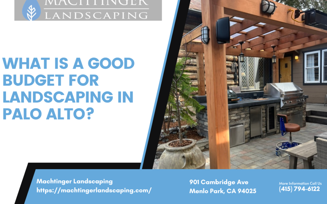 What Is a Good Budget for Landscaping in Palo Alto?