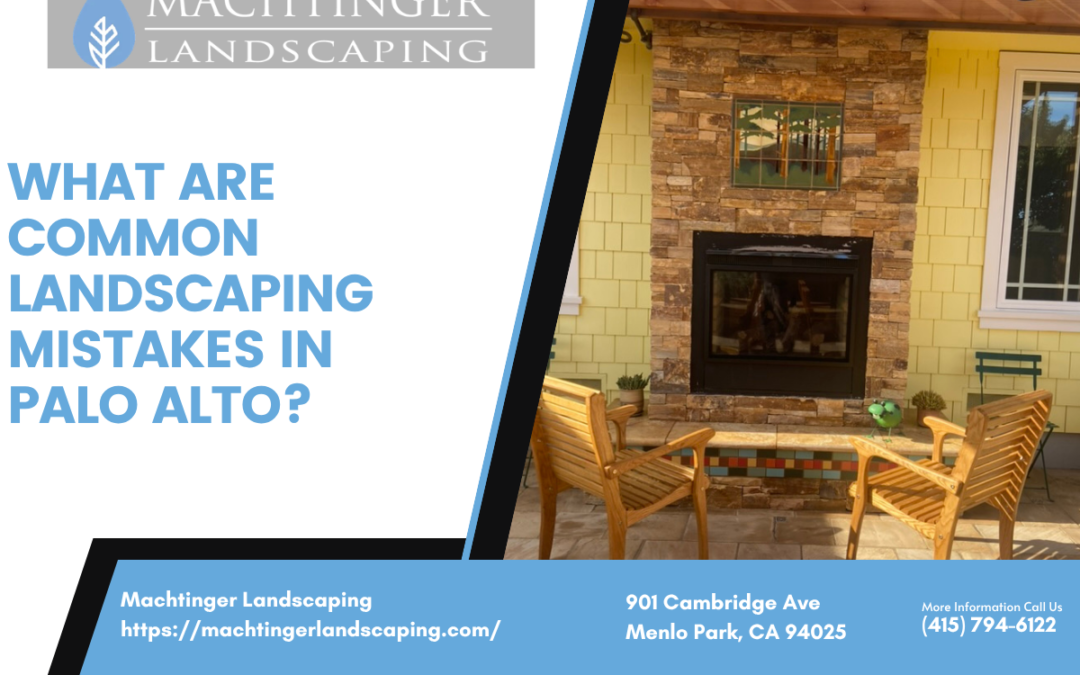 What Are Common Landscaping Mistakes In Palo Alto?