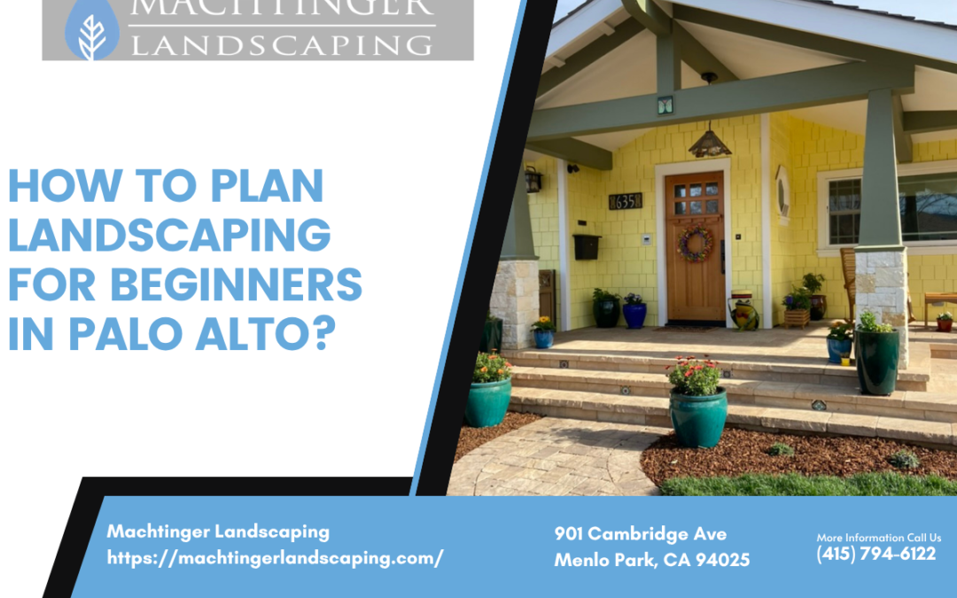 How to plan landscaping for beginners In Palo Alto? 