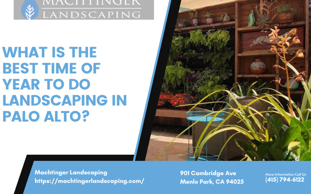 What is the best time of year to do landscaping In Palo Alto?